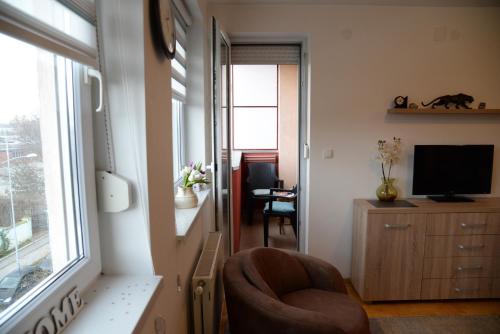 Apartment Xenia in Detelinara