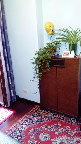 Guest House Profsoyuznaya - main image