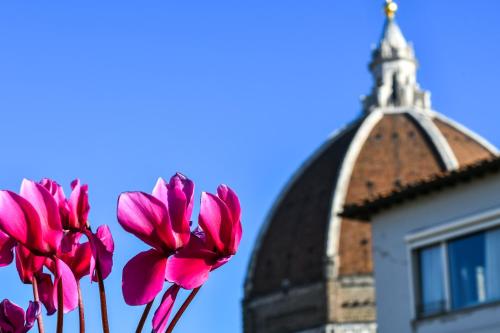 Romantic Terrace, Florencie (fotografie 10)