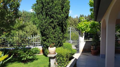 Ginkgo Apartments - image 4