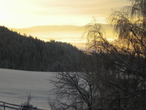 Naturpark Bauernhof Sperl - main image