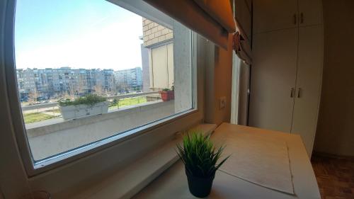 Arena East Apartment - image 3