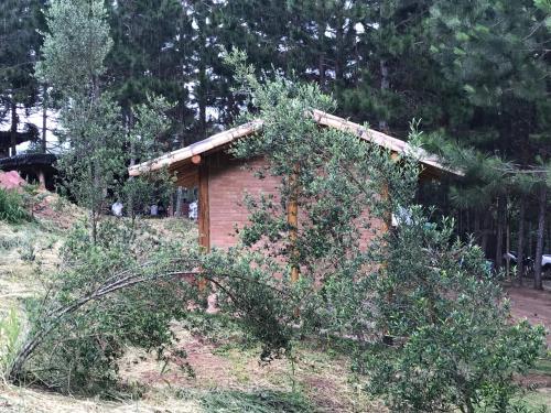 Chalés Sítio Do Tanque