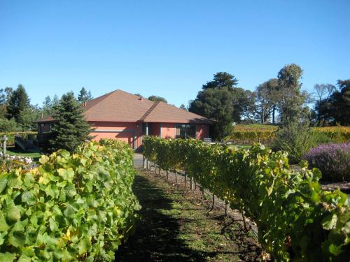 Pearlessence Vineyard Inn