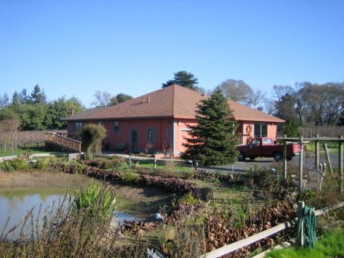 Pearlessence Vineyard Inn - 출입구