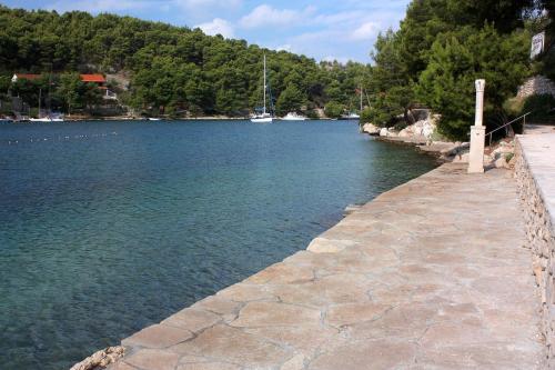 Seaside luxury villa with a swimming pool Bobovisca na Moru Brac - 14405 - image 2