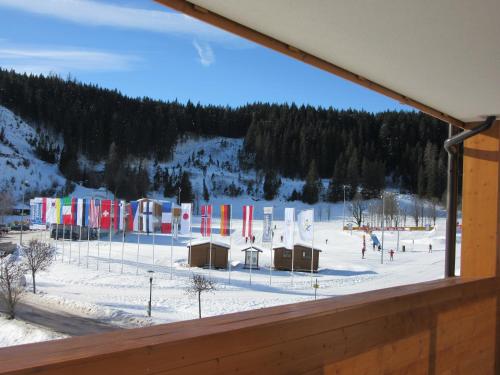  Apartment Coley in Ramsau am Dachstein