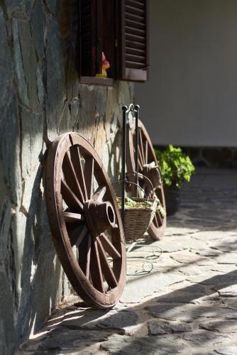 Guest House Mira - image 8
