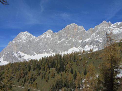 Glösalm in Ramsau am Dachstein, Österreich