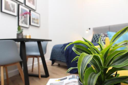 Studio Apartment C34 image 6