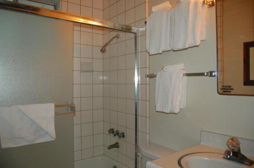18A Pohono Pines - image 9
