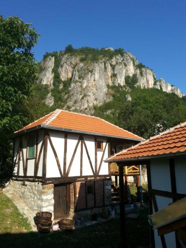 Golemi kamik Pirot Vlasi - image 5