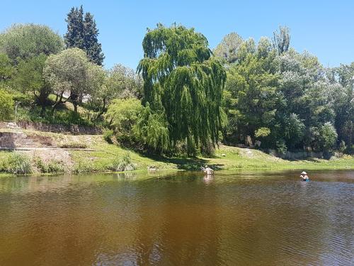 Cabañas Don Eduardo