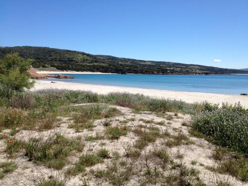 Appartamenti Mare Blu - image 9