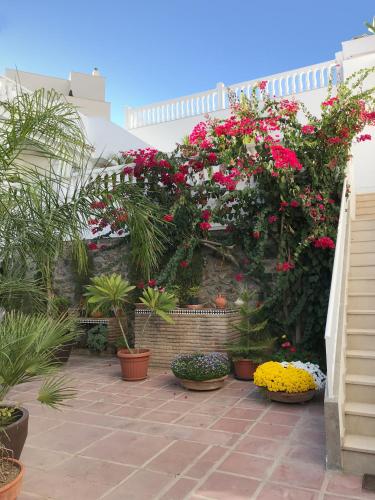 Apartamentos Turísticos La Mundial - image 11