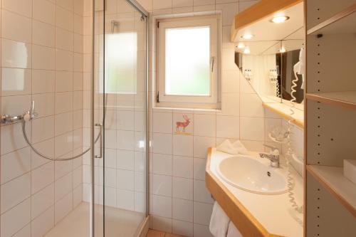 Ferienwohnung Hirschen - image 7