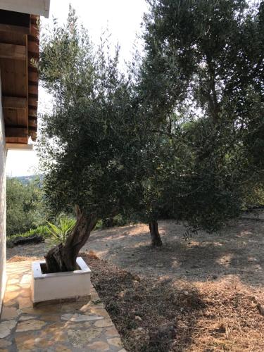  Ferienhaus Olive Garden in Kyparissia