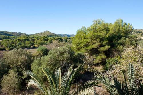 Fonda Las Palmeras - image 9