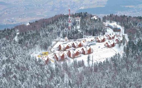 Bolfenk Apartment