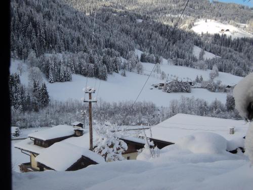 Bergblick, Wagrain (photo 8)