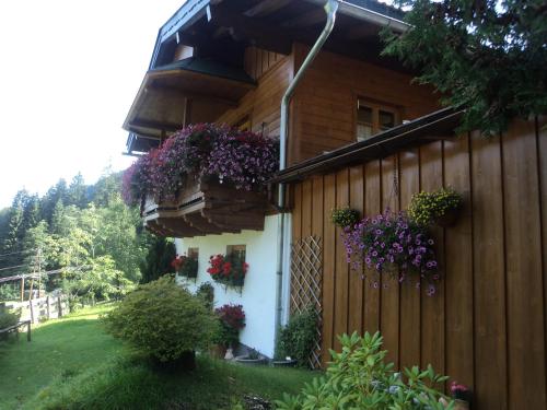 Bergblick, Wagrain (photo 7)