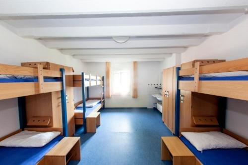 Single Bed in 6-Bed Dormitory Room