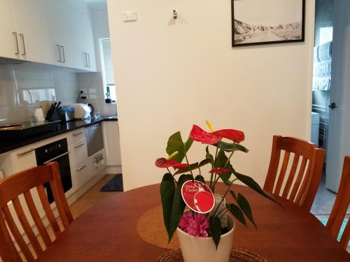 New Smart Home Nearby Plaza in Pakuranga