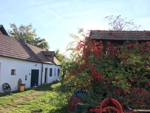  Am Ziegenhof, Pension in Parndorf bei Bruck an der Leitha