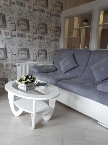 Rent of Apartments in Kharkiv