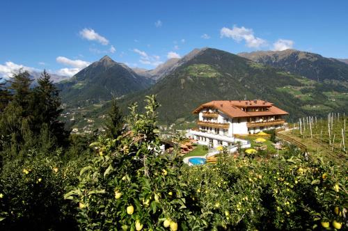 Wellnesshotel Grafenstein - image 2