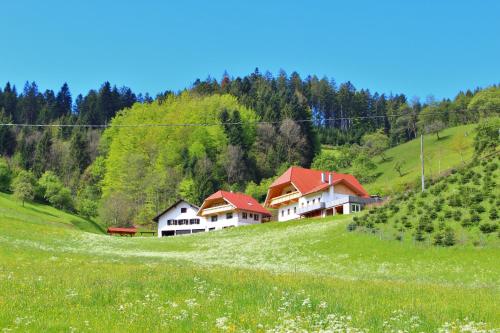 Stinneshof - Apartment - Oberharmersbach