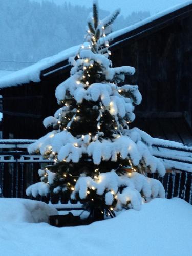 Chalet "Le 19 x 27" in Morzine