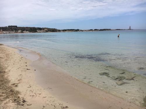 Le Case di Palma - Viola