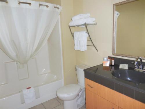 Aspen Suites Hotel Kenai - 화장실