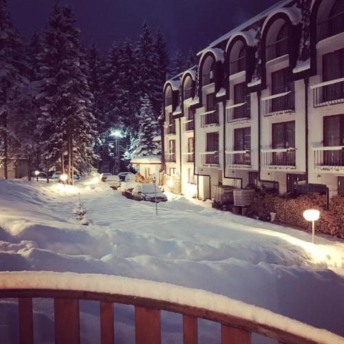 Saint George Borovets Hotel - image 6