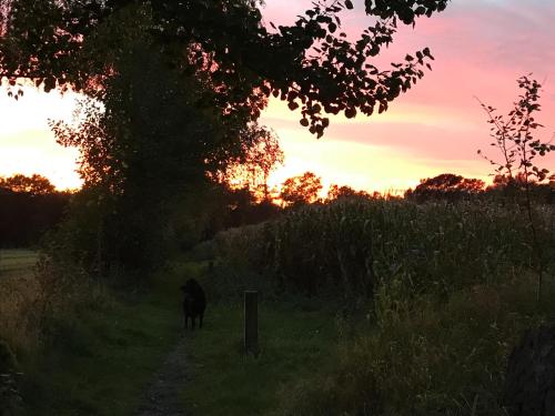 A környék, Ferienwohnung am Komisenpad in Sudlohn
