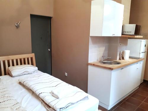 Market Square Apartment, Budapešť (fotografie 8)