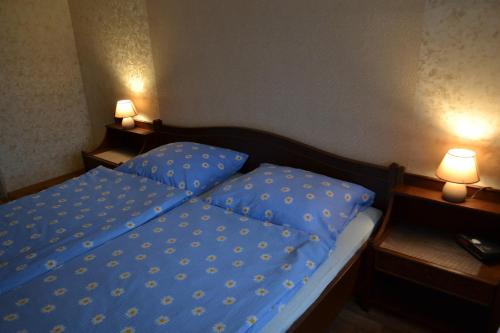 Apartment Alejní