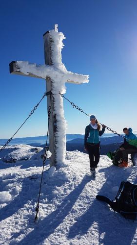 Almhütte in Kärnten