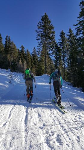 Almhütte in Kärnten