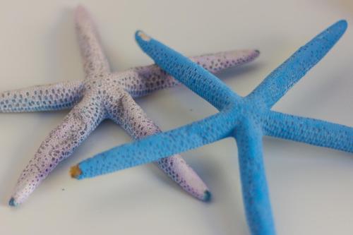 Le Conchiglie, Marettimo (fotografie 6)