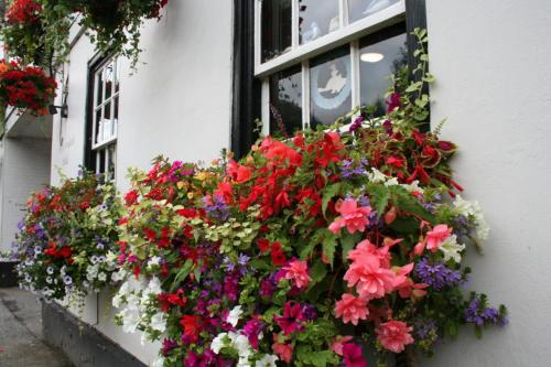 The Angel Inn (Blyth) - image 7