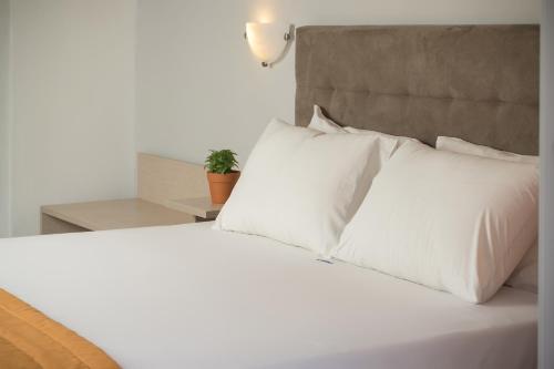 Coral Blue Beach Hotel Gerakini - Photo 1
