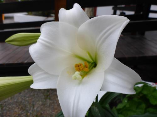 Studios Resbithas Studios Resbithas