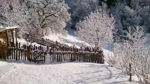 Vitroler Hof - image 7