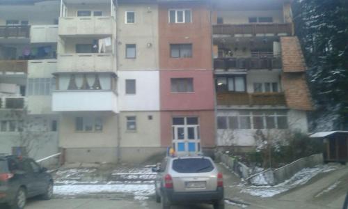 Apartament Nemira - image 6