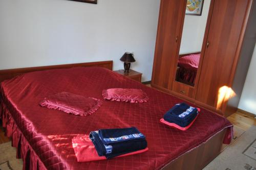 Family Hotel Biju - image 11