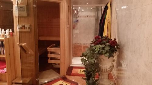 Sauna, Ferienwohnung Heinze in Eilenburg