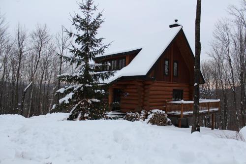 Chalet (8 Adults)