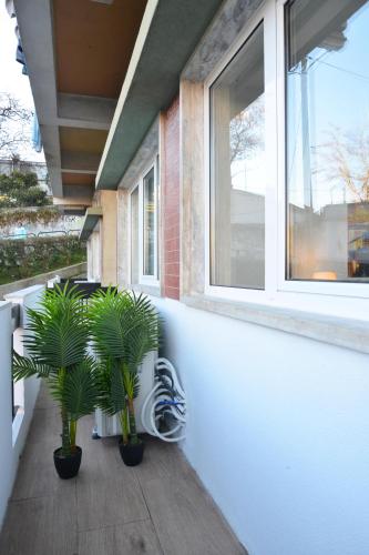 Real Home 4